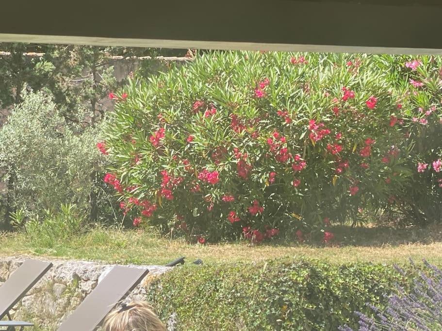 Ar De Vie Villa Chaleureuse En Provence Ventabren المظهر الخارجي الصورة